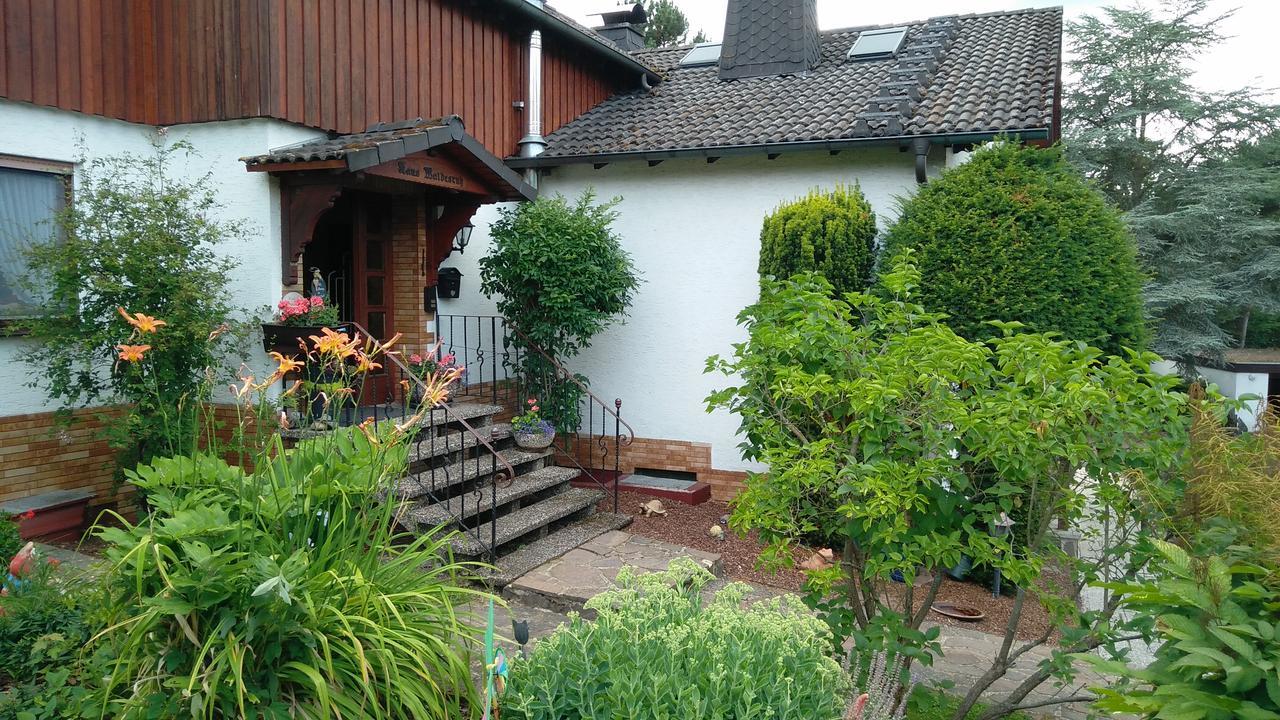Haus Waldesruh, 3 Ferienwohnungen Hemfurth-Edersee Bagian luar foto